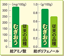 「むぎおう」の根