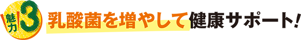 乳酸菌を増やして健康サポート!
