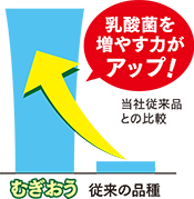乳酸菌を増やす力がアップ