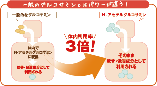 一般のグルコサミンとはパワーが違う