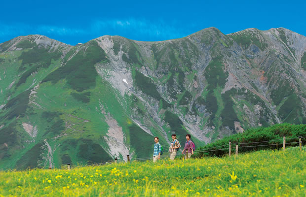 立山の美しい山なみを見ながらハイキング