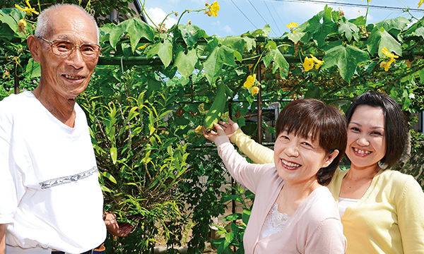 立派な実がたくさん育っていました