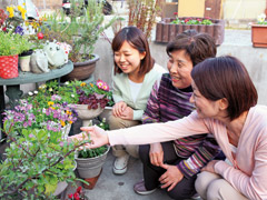 玄関からお庭まで、色とりどりの花に囲まれています。