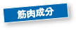 筋肉成分