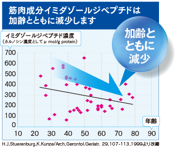 筋肉成分イミダゾールジペプチドは加齢とともに減少します