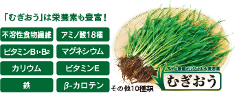 むぎおうの栄養素